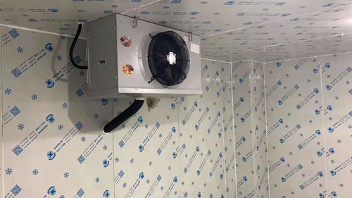 推荐 厚街速冻库灯多少钱一平